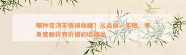哪种普洱茶值得收藏？从品质、年限、等角度解析有价值的收藏品