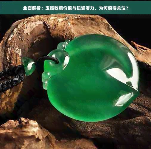 全面解析：玉髓收藏价值与投资潜力，为何值得关注？
