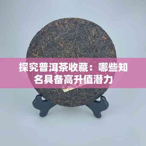 探究普洱茶收藏：哪些知名具备高升值潜力