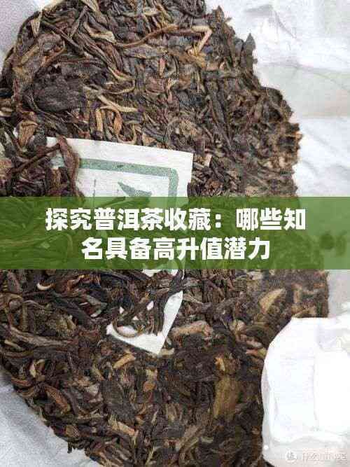 探究普洱茶收藏：哪些知名具备高升值潜力