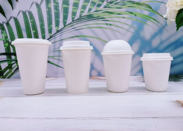 福建竹浆塑料替代产品,竹浆