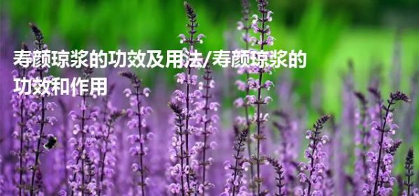 寿颜琼浆的功效及用法/寿颜琼浆的功效和作用