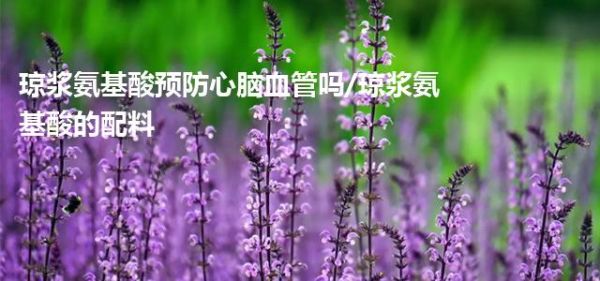 琼浆氨基酸预防心脑血管吗/琼浆氨基酸的配料