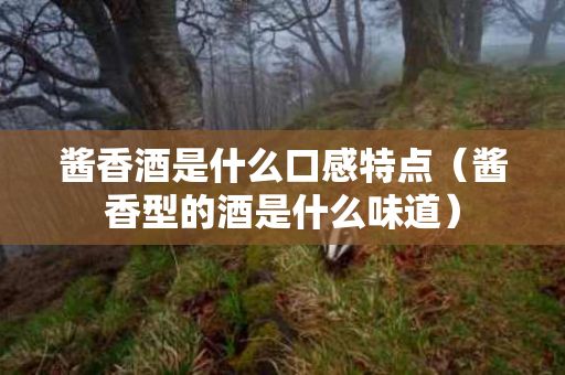 醬香酒是什么口感特點（醬香型的酒是什么味道）