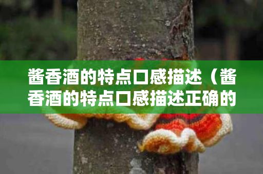 醬香酒的特點(diǎn)口感描述（醬香酒的特點(diǎn)口感描述正確的是）