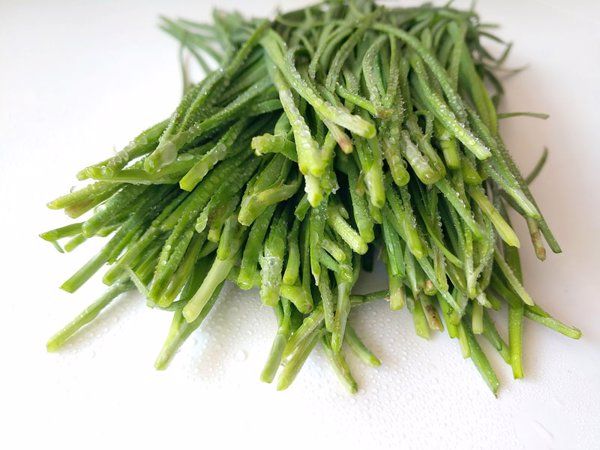 高粱米不能和什么食物一起吃