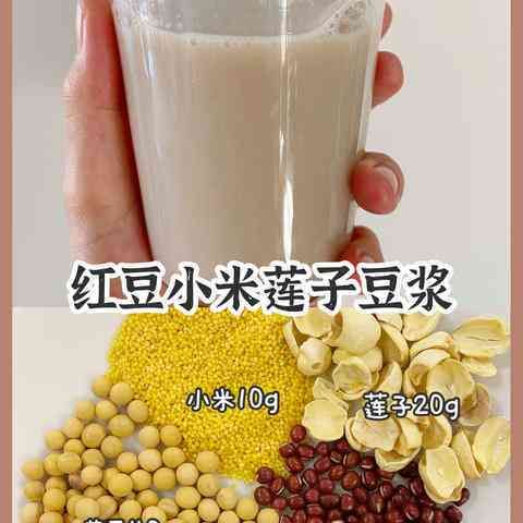 揭秘紅豆燕窩的歷史淵源與制作工藝：從起源到現(xiàn)代流行