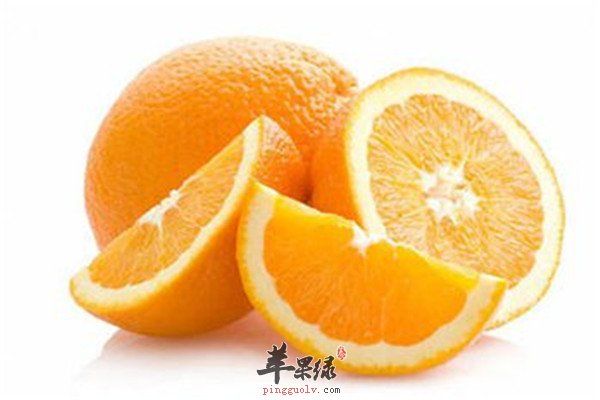柑橘5.jpg
