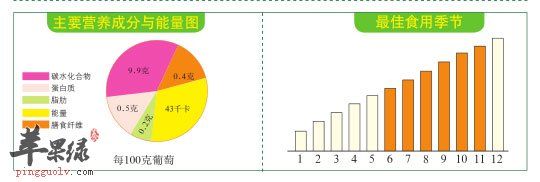 比例圖