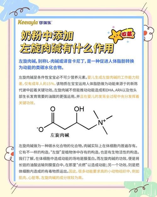 左旋肉堿的作用（左旋肉堿的作用與功效副作用能吃嗎?）