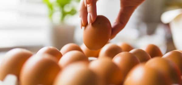 如何进行禁食鸡蛋：规则、好处和菜单样本