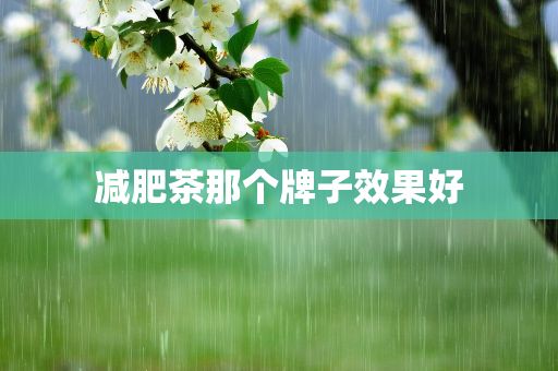 減肥茶那個(gè)牌子效果好