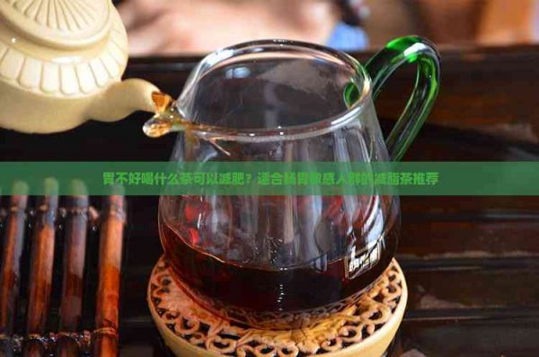 胃不好喝什么茶可以减肥？适合肠胃敏感人群的减脂茶推荐