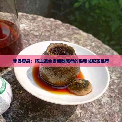 养胃瘦身：精选适合胃部敏感者的温和减肥茶推荐