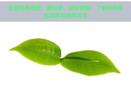 全面排减肥：喝对茶，轻松瘦身！了解各种茶的功效与选择方法