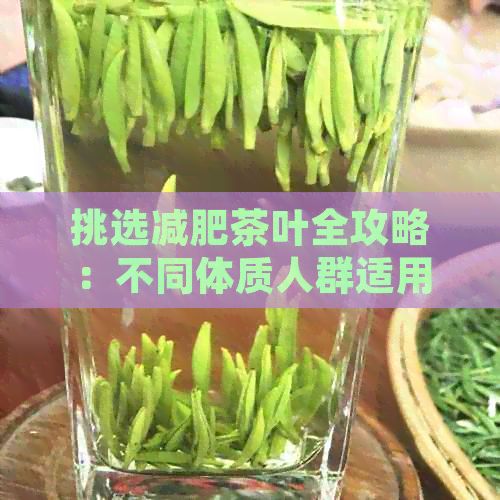 挑選減肥茶葉全攻略：不同體質(zhì)人群適用的茶飲推薦指南