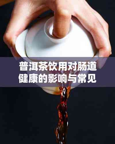 普洱茶飲用對腸道健康的影響與常見疑問解析