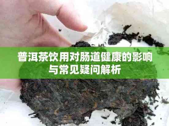 普洱茶飲用對腸道健康的影響與常見疑問解析