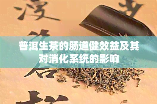普洱生茶的腸道健效益及其對消化系統(tǒng)的影響