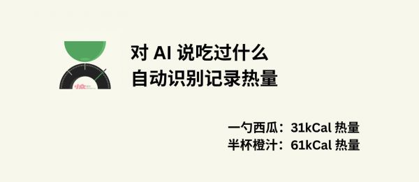 FoodCa - 「一勺西瓜，半杯橙汁」AI 幫你自動識別記錄熱量，身材管理必備[iPhone] 1