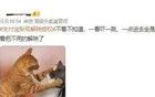 沖上熱搜！查查你的“支付寶”，趕緊解除