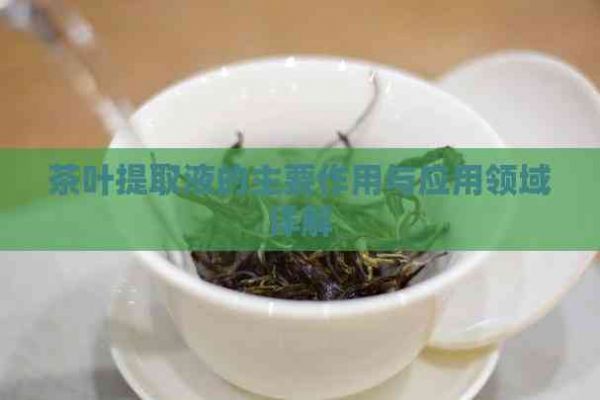 茶葉提取液的主要作用與應(yīng)用領(lǐng)域詳解