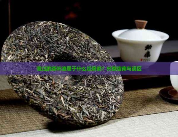泡过的茶叶渣属于什么垃圾类？分类指南与误区