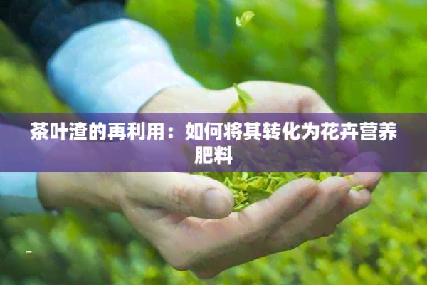 茶叶渣的再利用：如何将其转化为花卉营养肥料