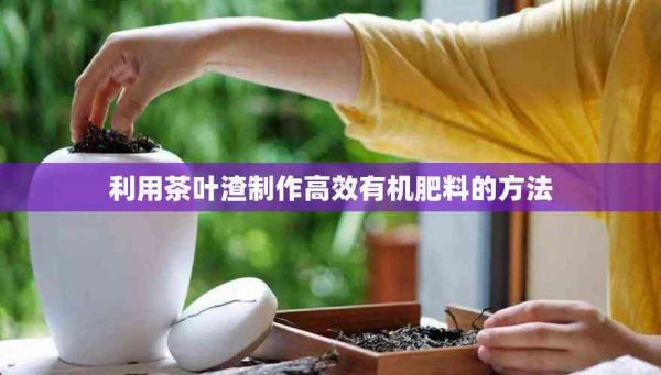 利用茶叶渣制作高效有机肥料的方法
