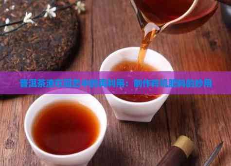 普洱茶渣在园艺中的再利用：制作有机肥料的妙用