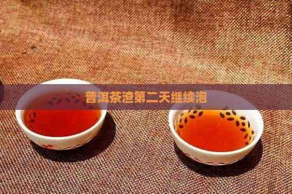 普洱茶渣第二天继续泡
