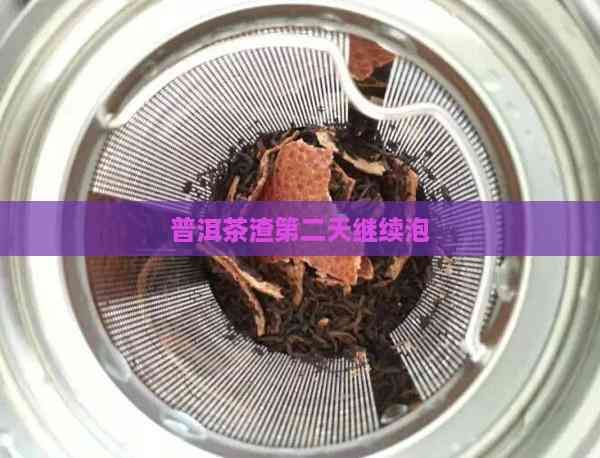 普洱茶渣第二天继续泡
