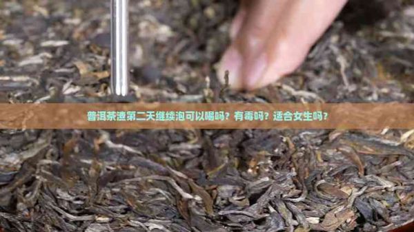 普洱茶渣第二天继续泡可以喝吗？有吗？适合女生吗？
