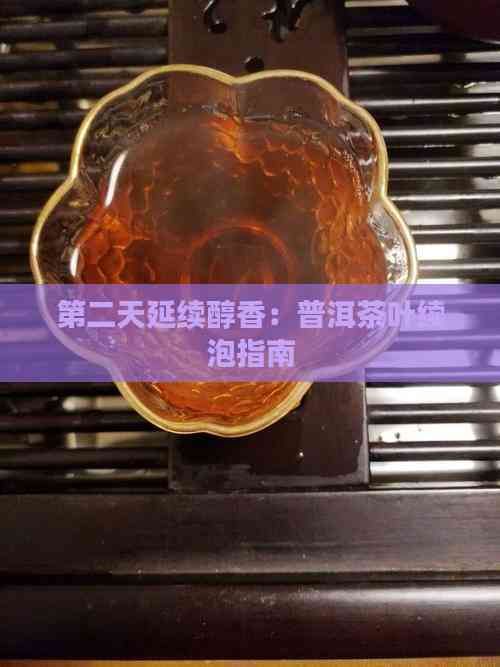 第二天延续醇香：普洱茶叶续泡指南