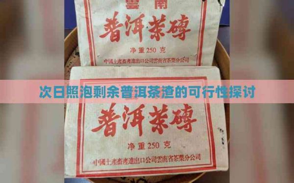 次日照泡剩余普洱茶渣的可行性探讨