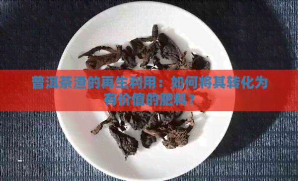 普洱茶渣的再生利用：如何将其转化为有价值的肥料？