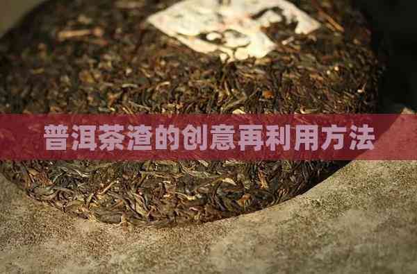普洱茶渣的创意再利用方法