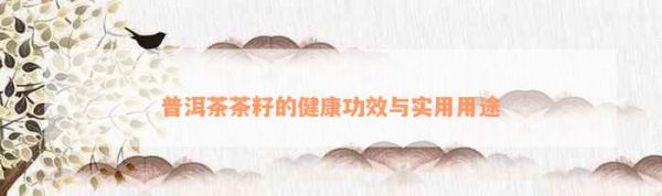 普洱茶茶籽的健康功效與實用用途