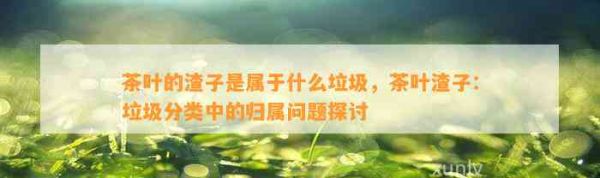 茶葉的渣子是屬于什么垃圾，茶葉渣子：垃圾分類中的歸屬問(wèn)題探討