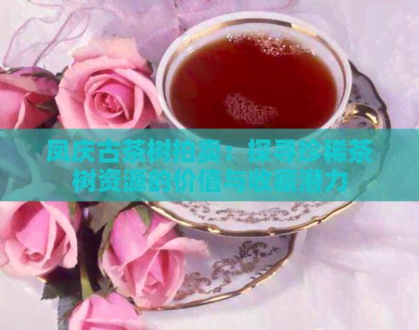 凤庆古茶树拍卖：探寻珍稀茶树资源的价值与收藏潜力