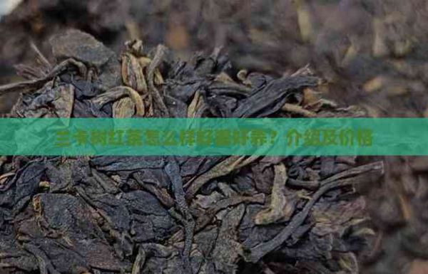 兰卡树红茶怎么样好喝好养？介绍及价格