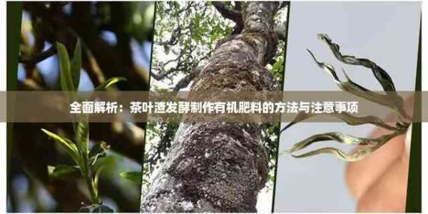 全面解析：茶叶渣发酵制作有机肥料的方法与注意事项