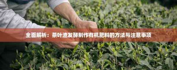 全面解析：茶叶渣发酵制作有机肥料的方法与注意事项