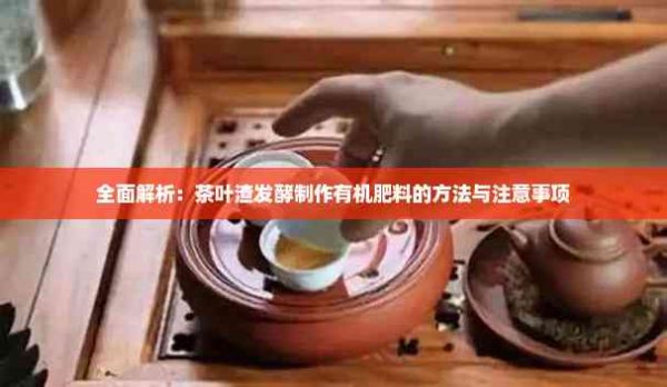 全面解析：茶叶渣发酵制作有机肥料的方法与注意事项