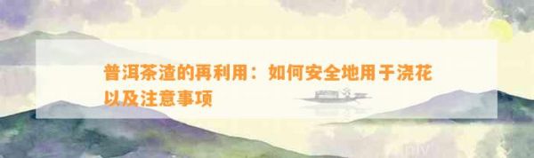 普洱茶渣的再利用：如何安全地用于浇花以及注意事项