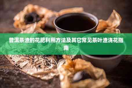 普洱茶渣的花肥利用方法及其它常见茶叶渣浇花指南