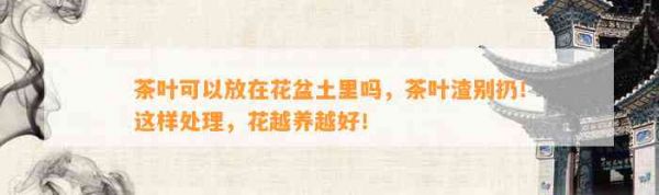 茶叶可以放在花盆土里吗，茶叶渣别扔！这样处理，花越养越好！