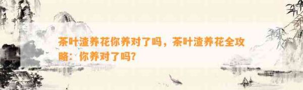 茶葉渣養(yǎng)花你養(yǎng)對(duì)了嗎，茶葉渣養(yǎng)花全攻略：你養(yǎng)對(duì)了嗎？