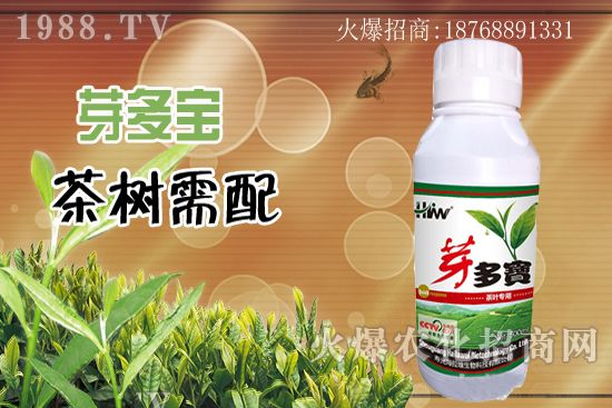 茶多宝