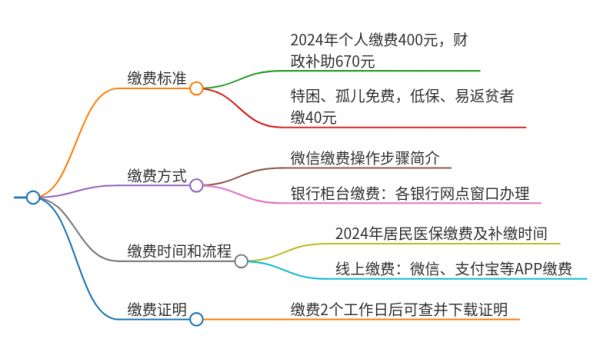 农村医保怎么自己缴费2024年
